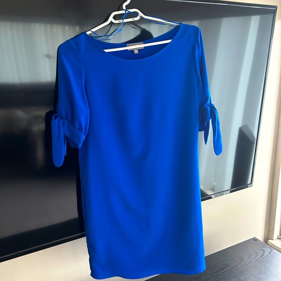 Laura Petites Royal Blue Dress Size 10 - Picture 1 of 4